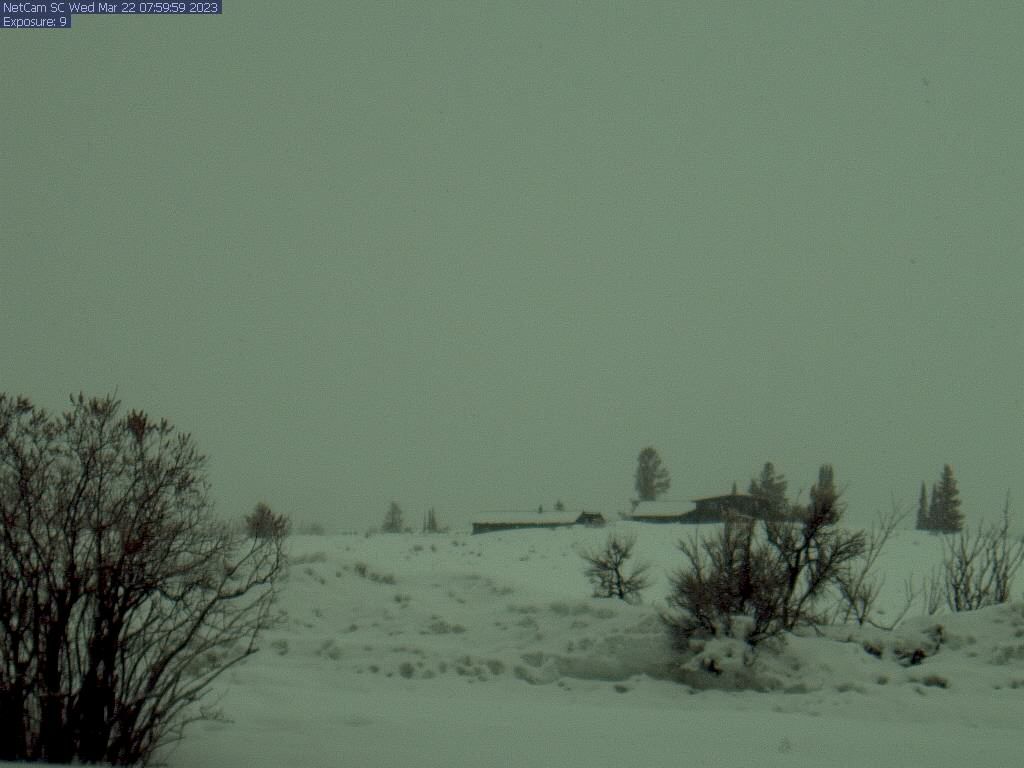 Traffic Cam Jackson: Teton View