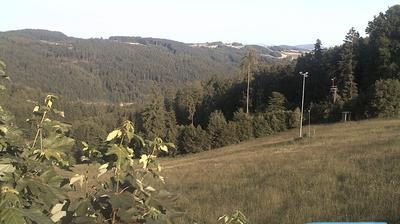 Gramastetten forest webcam