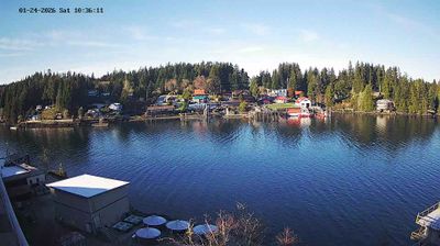 Area A › North-West