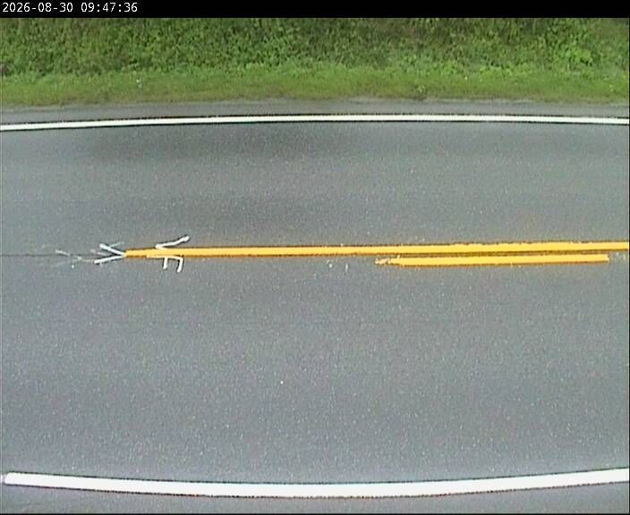 Traffic Cam Storas: F65 Øvre Rindal