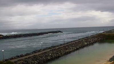 Recent Forster Webcam Image