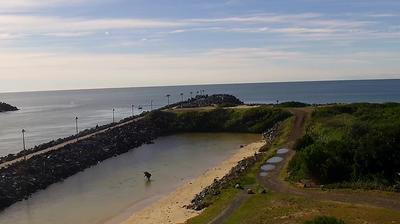 Forster today