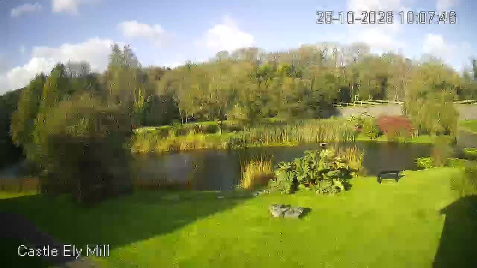 Tenby webcam