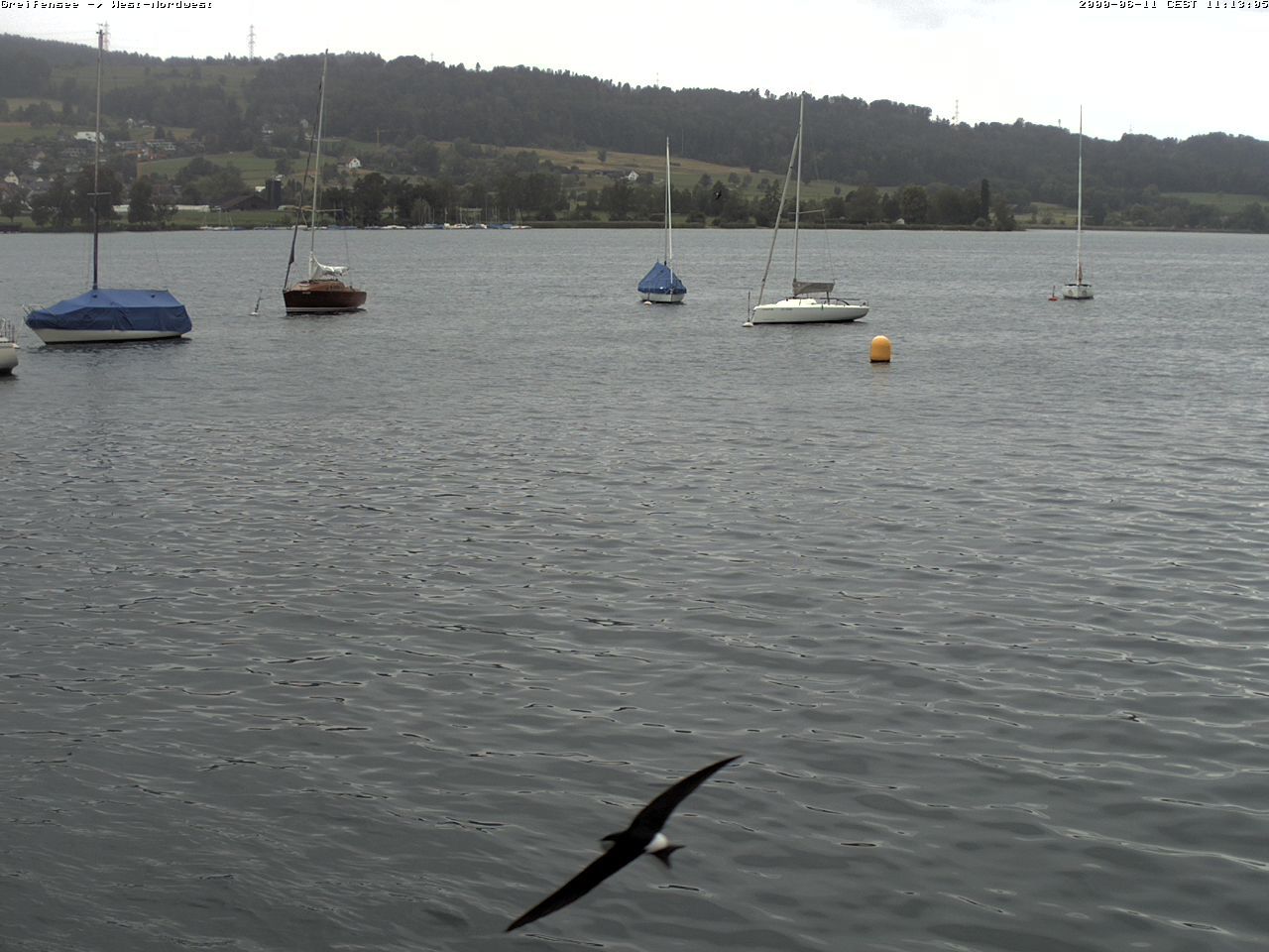 Greifensee › Westen: › North-West