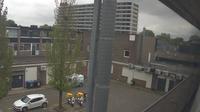 Hoogvliet Rotterdam: Barry's Middenbaan Hof - WebCam - Overdag