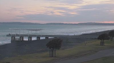 Recent Napier Webcam Image