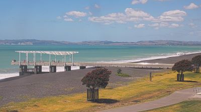 Napier Daytime Webcam Image