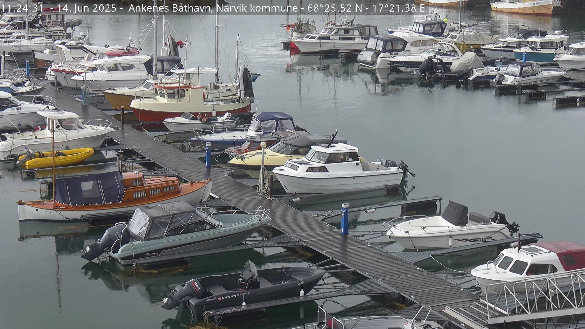 Ankenes Marina: Hakviks Narvik Landscape Webcam