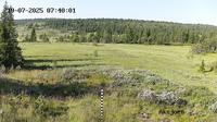 Kuasen › South-East: Velkoia Elgåsen, Ringsaker, Hedmark: Skitrack Elgåsenrunden