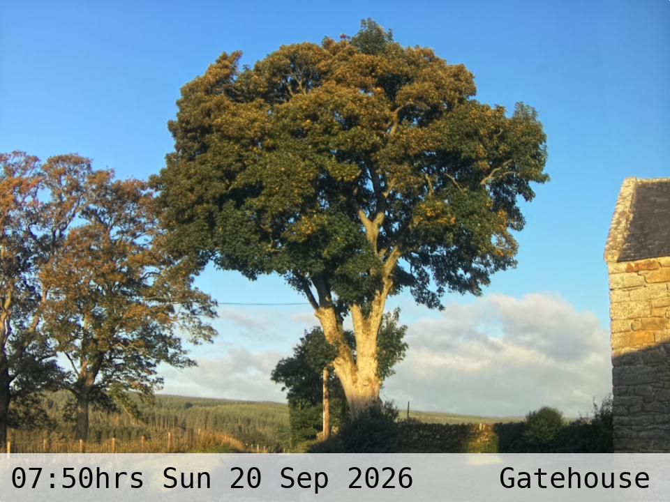 Traffic Cam Greenhaugh › North-West: Tarset