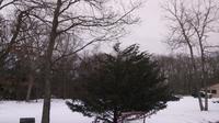 Howell Township › East: New Jersey