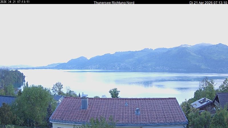 Spiez › Norden: Thunersee