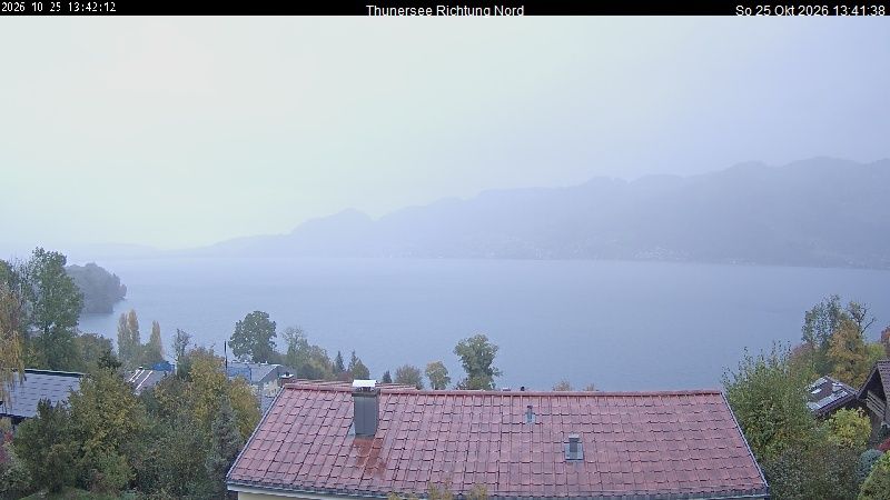 Spiez › Norden: Thunersee