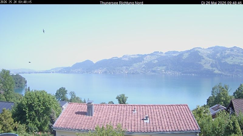 Spiez › Norden: Thunersee