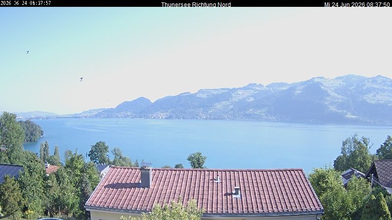 Spiez › Norden: Thunersee