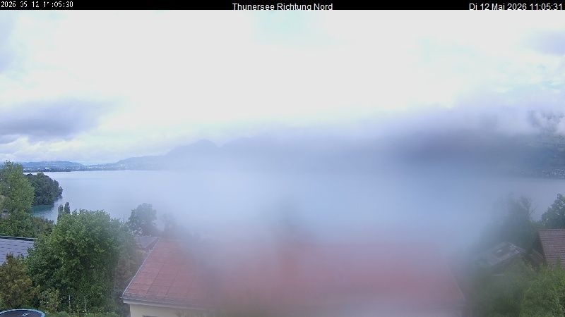 Spiez › Norden: Thunersee