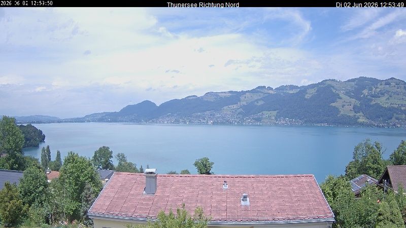 Spiez › Norden: Thunersee