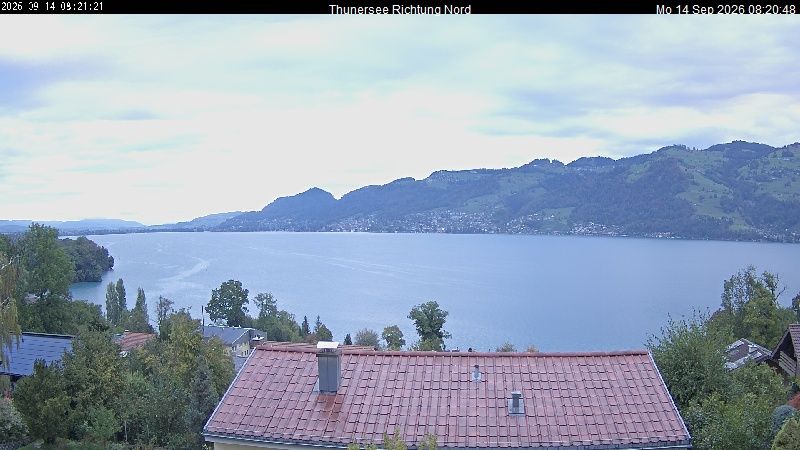 Spiez › Norden: Thunersee