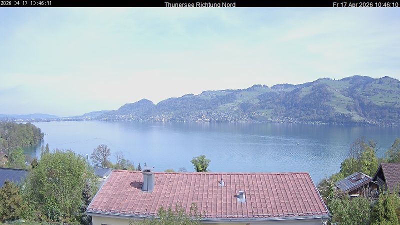 Spiez › Norden: Thunersee