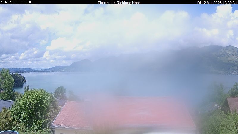 Spiez › Norden: Thunersee