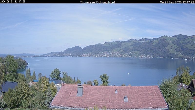 Spiez › Norden: Thunersee
