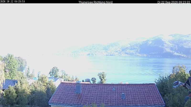 Spiez › Norden: Thunersee