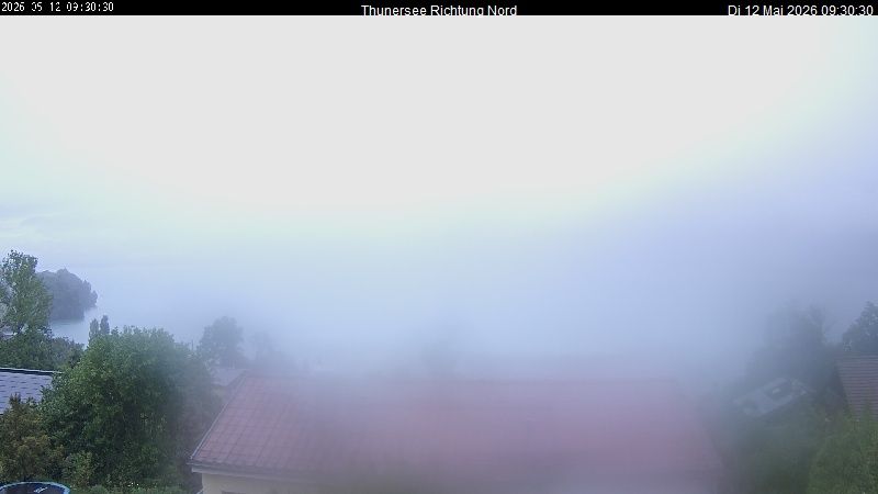 Spiez › Norden: Thunersee