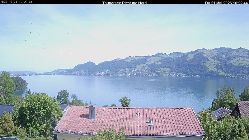 Spiez › Norden: Thunersee