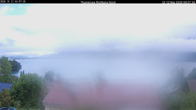 Spiez › Norden: Thunersee