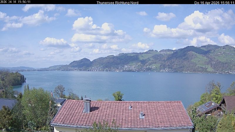 Spiez › Norden: Thunersee