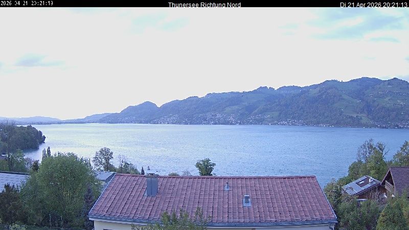 Spiez › Norden: Thunersee
