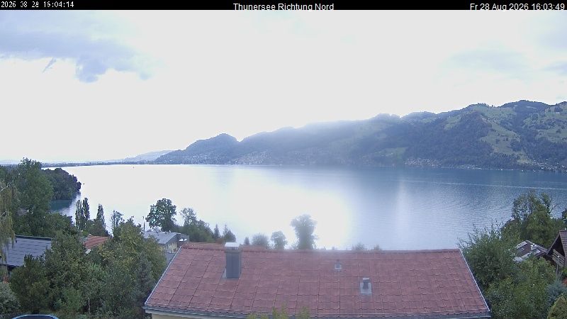 Spiez › Norden: Thunersee