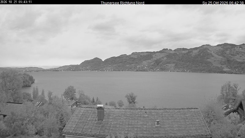 Spiez › Norden: Thunersee