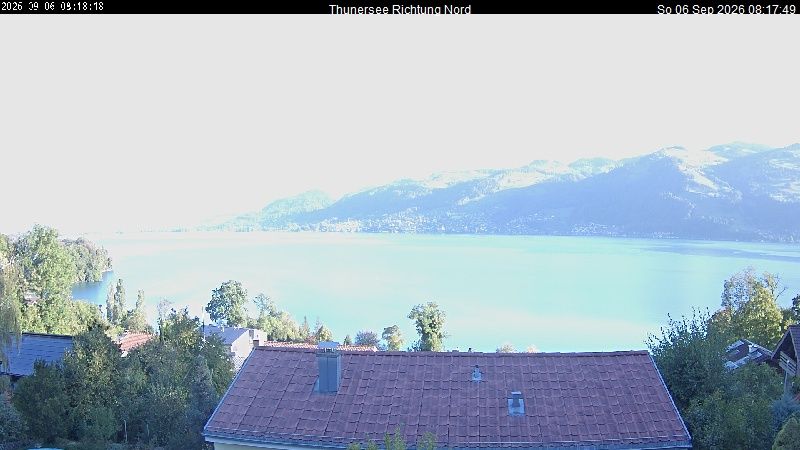 Spiez › Norden: Thunersee