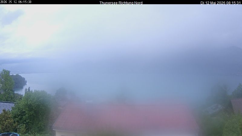 Spiez › Norden: Thunersee