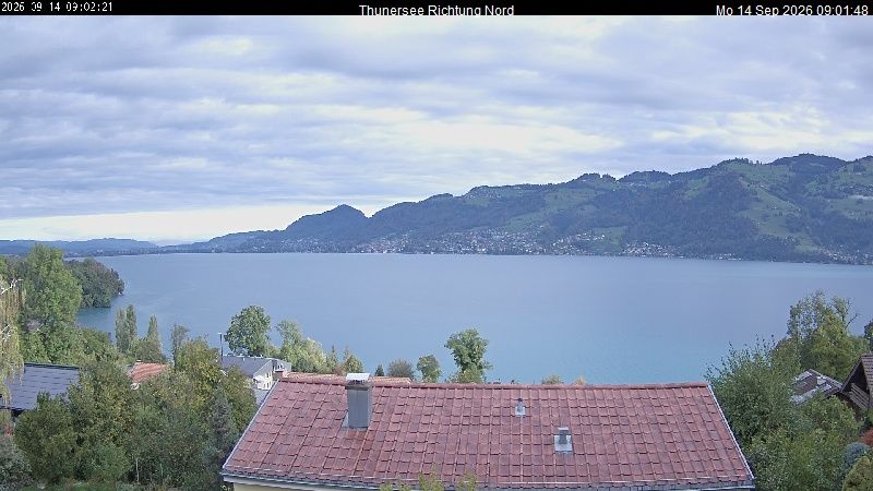 Spiez › Norden: Thunersee
