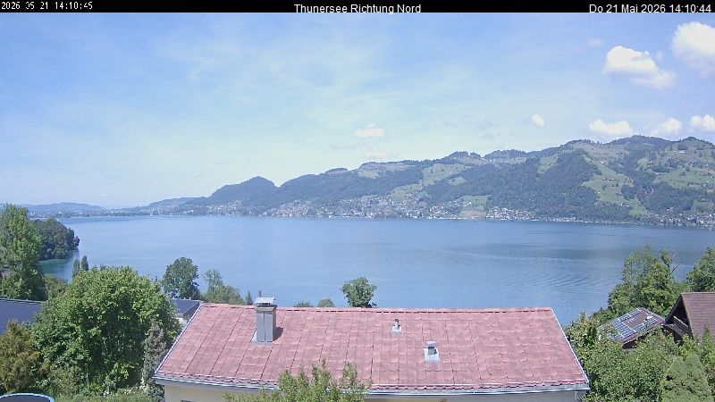 Spiez › Norden: Thunersee