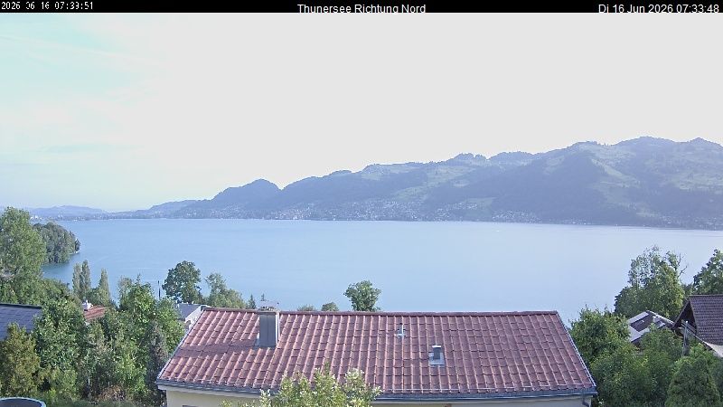 Spiez › Norden: Thunersee