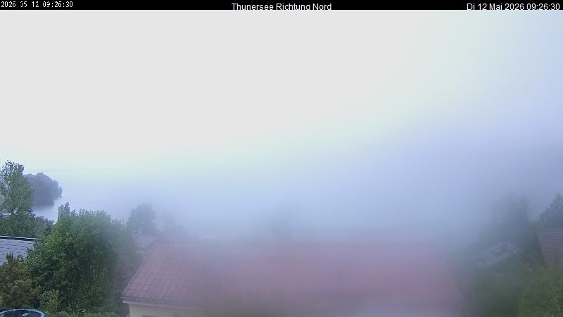 Spiez › Norden: Thunersee