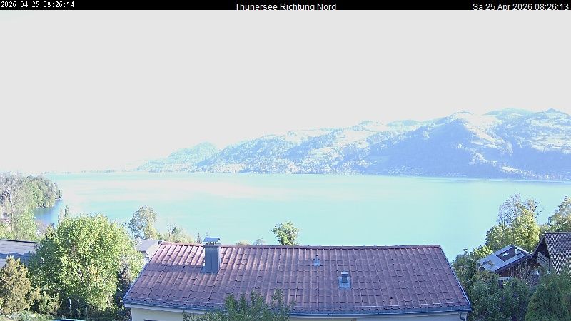 Spiez › Norden: Thunersee