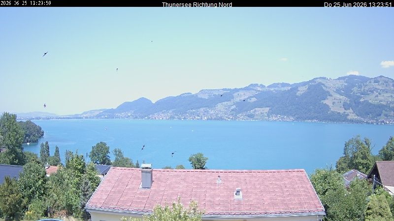 Spiez › Norden: Thunersee