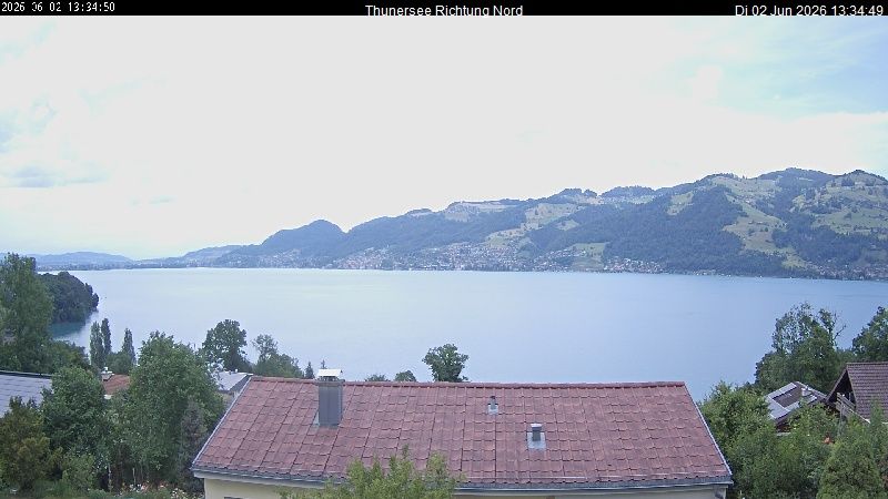 Spiez › Norden: Thunersee