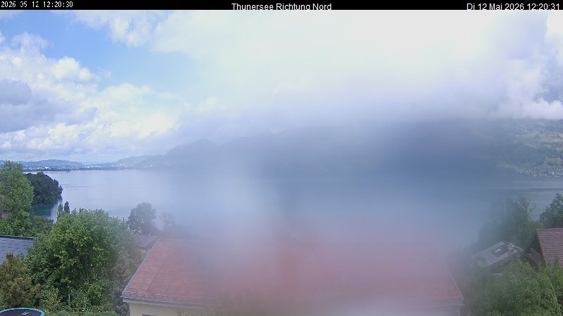 Spiez › Norden: Thunersee