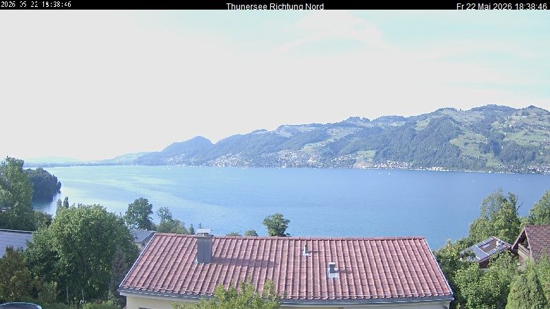 Spiez › Norden: Thunersee