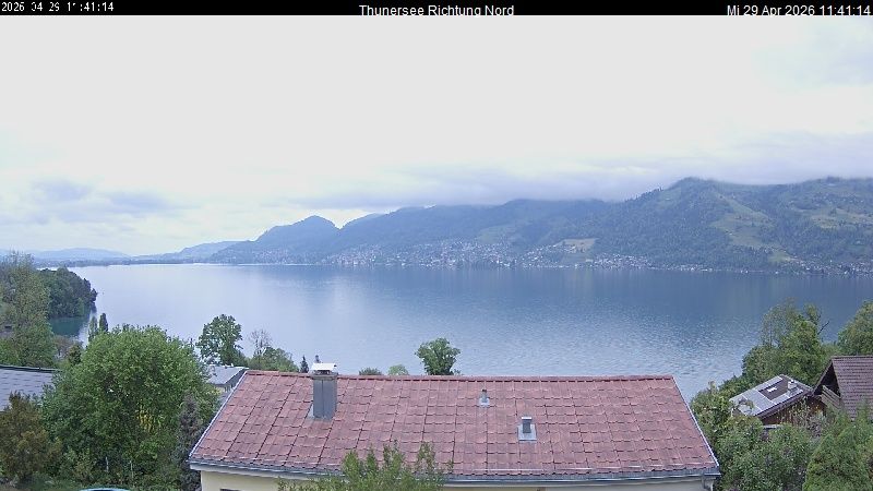 Spiez › Norden: Thunersee