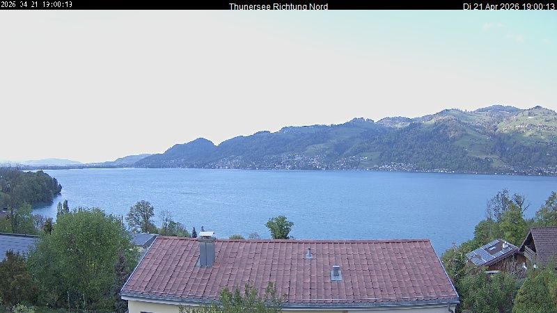 Spiez › Norden: Thunersee