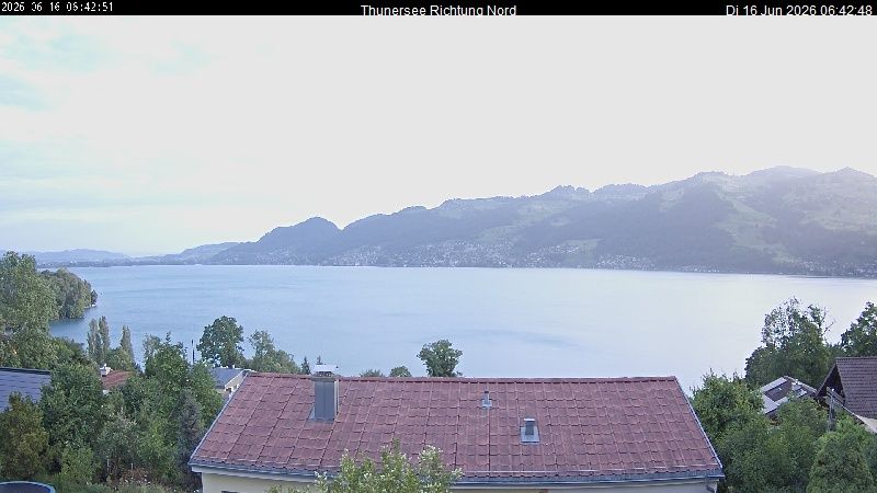 Spiez › Norden: Thunersee