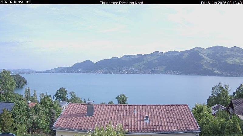 Spiez › Norden: Thunersee