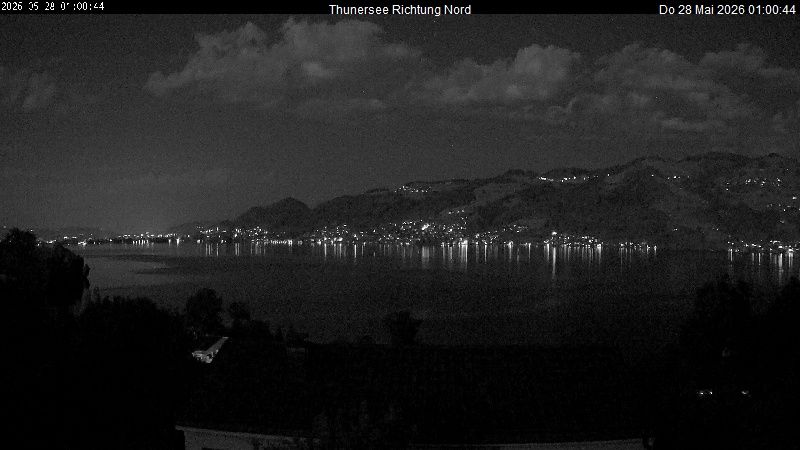 Spiez › Norden: Thunersee
