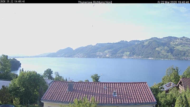 Spiez › Norden: Thunersee